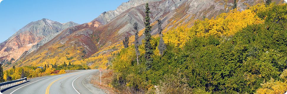 Image of Dillingham, Alaska