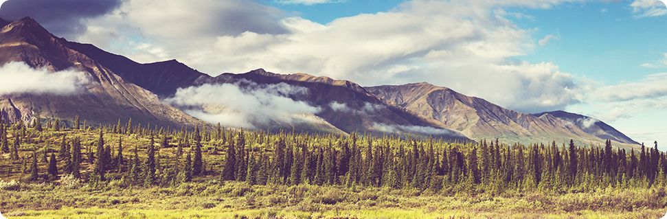 Image of Homer, Alaska